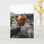 Carte Poulet de gazon, Irlande (Fleur jaune)