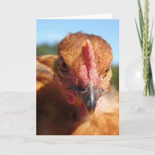 Carte Poulet de Turquie (Devant)