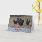 Carte Poulet Noir, Anniversaire (Fleur jaune)