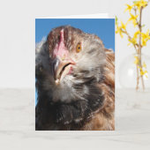 Carte Poulet saumon Faverolle, Anniversaire (Fleur jaune)