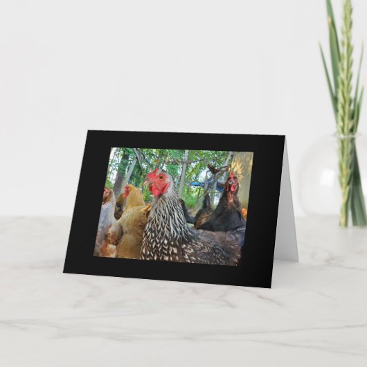 Carte Poulets (Devant)