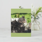 Carte poulets de poulet (Debout devant)