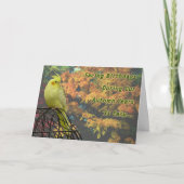 Carte Poulets de printemps (Devant)