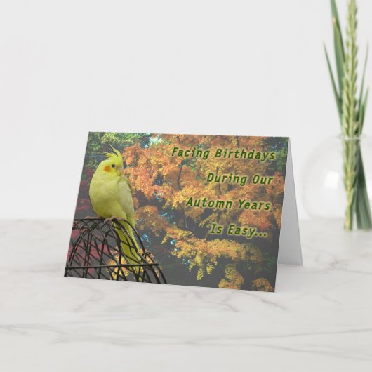 Carte Poulets de printemps (Devant)