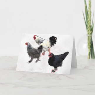 Carte Poulets funky