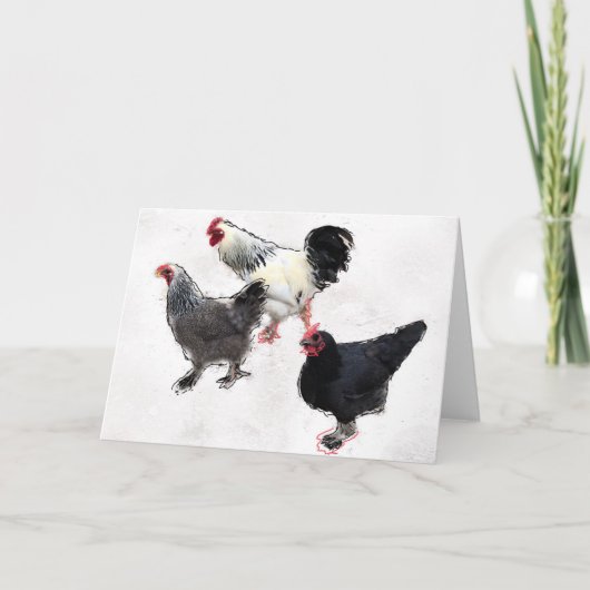 Carte Poulets funky (Devant)