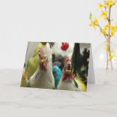 Carte Poulets vintages en toutes occasions (Fleur jaune)