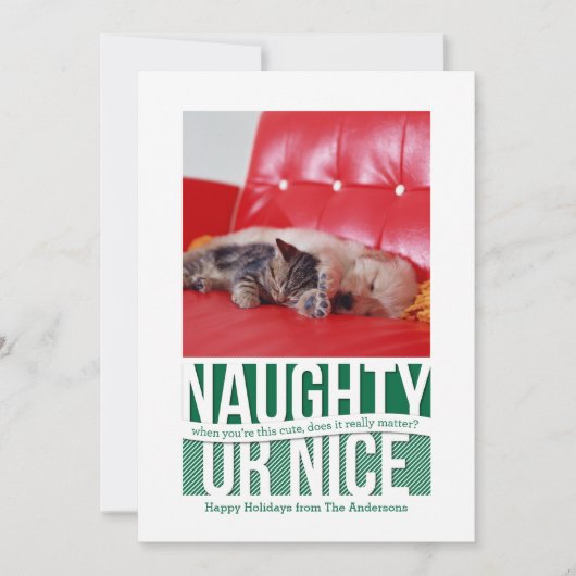 Carte pour animaux de Noël drôle ou coquine (Devant)