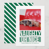 Carte pour animaux de Noël drôle ou coquine (Devant / Derrière)