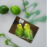 Carte Pour Brother Green Parakeets Photo Anniversaire<br><div class="desc">Une carte d'anniversaire drôle et colorée pour son frère qui présente l'image d'une paire de perruches vertes et vives,  aussi appelé Budgies. Sélectionnez une carte de style mat ou brillant.</div>