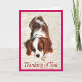 Carte pour chiot Cavalier King Charles 'Pensées po (Devant)