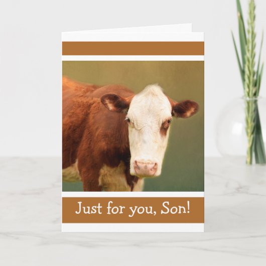 Carte Pour Fils Drôle Vache Heureux Anniversaire (Devant)