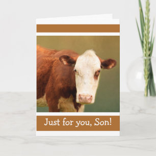 Carte Pour Fils Drôle Vache Heureux Anniversaire