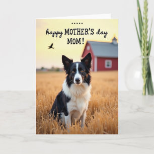 Carte pour la fête des mères avec un chien aux yeu