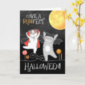 Carte pour les enfants Halloween Funny Chats en costumes (Fleur jaune)