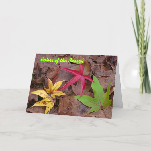 Carte pour les fêtes (Devant)