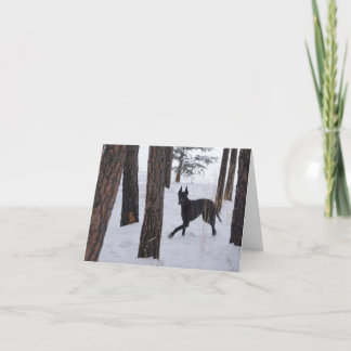 Carte pour les fêtes