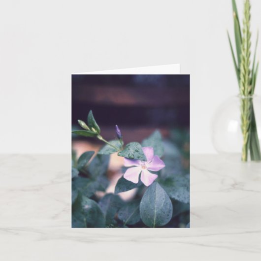 Carte pour notes à fleurs violet Vinca (Devant)