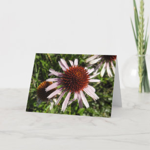 Carte pour notes à fleurs violettes