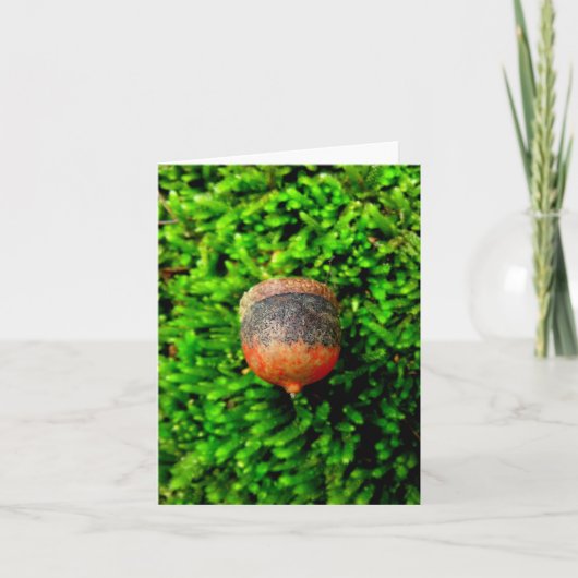 Carte pour notes Acorn & Moss (Devant)