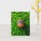 Carte pour notes Acorn & Moss (Fleur jaune)