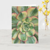 Carte pour notes Aeonium 'Sunburst' (Fleur jaune)