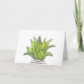 Carte pour notes agave bleu (Dos)