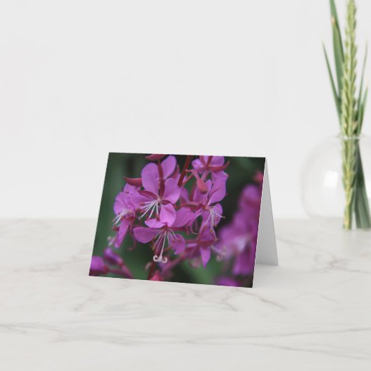 Carte pour notes alpin de Fireweed (Devant)