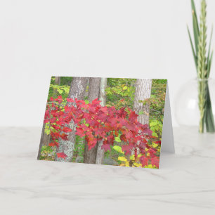 Carte pour notes automne