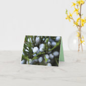 Carte pour notes avec baies Juniper (Fleur jaune)