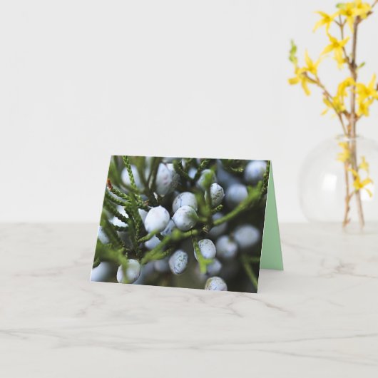 Carte pour notes avec baies Juniper (Fleur jaune)