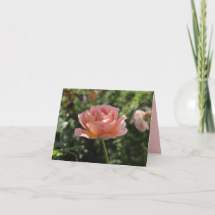 Carte pour notes avec Belle Rose de corail