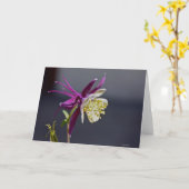 Carte pour notes avec la fleur de Columbine de (Fleur jaune)