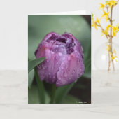 Carte pour notes avec la tulipe pourpre (Fleur jaune)