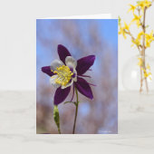 Carte pour notes avec le souvenir Columbine (Fleur jaune)