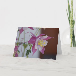 Carte pour notes avec l'oiseau chanteur Columbine