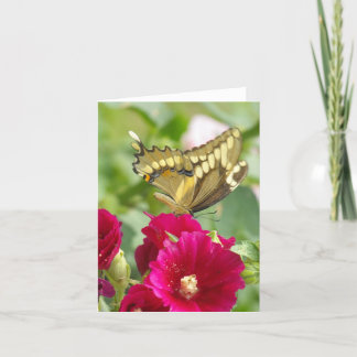 Carte pour notes avec papillon Swallowtail