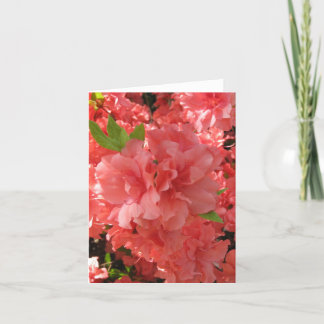 Carte pour notes Azalea
