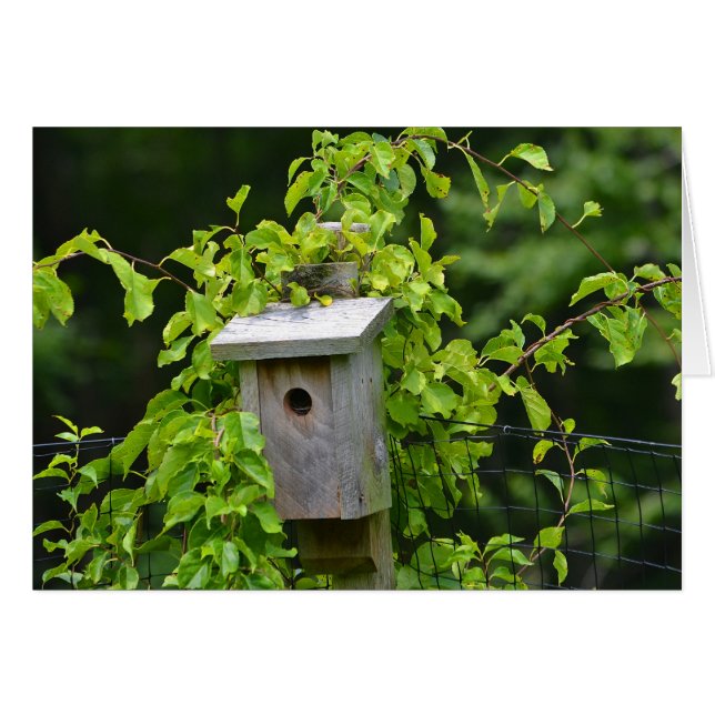 Carte pour notes Birdhouse (Devant Horizontal)