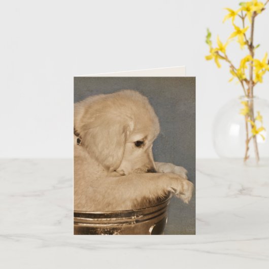 Carte pour notes blanc de chiot d'or Retriever (Fleur jaune)