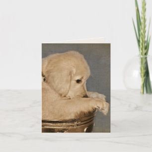 Carte pour notes blanc de chiot d'or Retriever