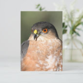 Carte pour notes blanc de faucon brillant (Debout devant)
