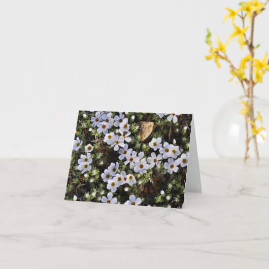 Carte pour notes blanc de fleur sauvage (Fleur jaune)