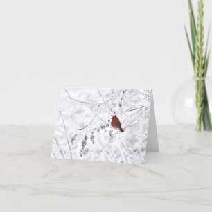 Carte pour notes blanc du cardinal d'hiver