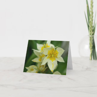Carte pour notes blanc et jaune de fleur