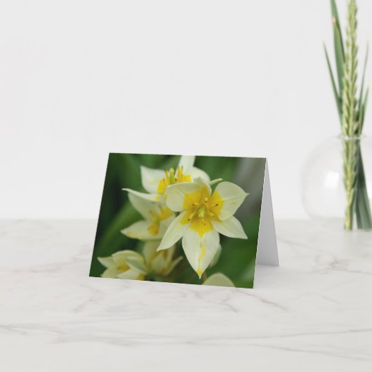 Carte pour notes blanc et jaune de fleur (Devant)