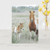 Carte pour notes blanc pour le cheval et le poulai (Fleur jaune)