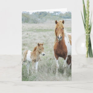 Carte pour notes blanc pour le cheval et le poulai