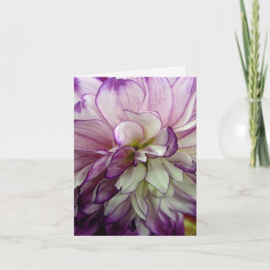 Carte pour notes blanc pourpre Dahlia (Devant)