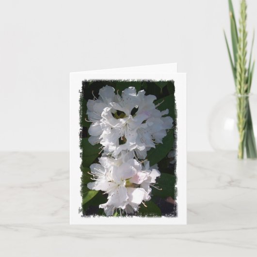 Carte pour notes blanc Rhododendrons (Devant)